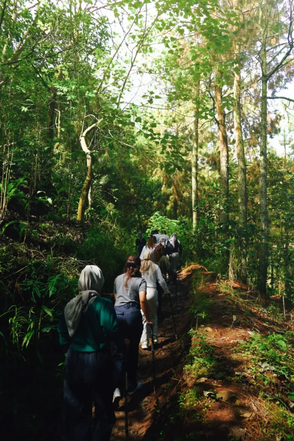 Long Trip To Curug Cibodas - Gambar 2