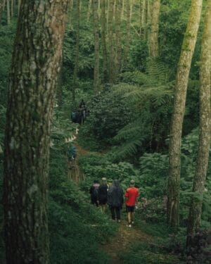 Short Trip To Pine Forest