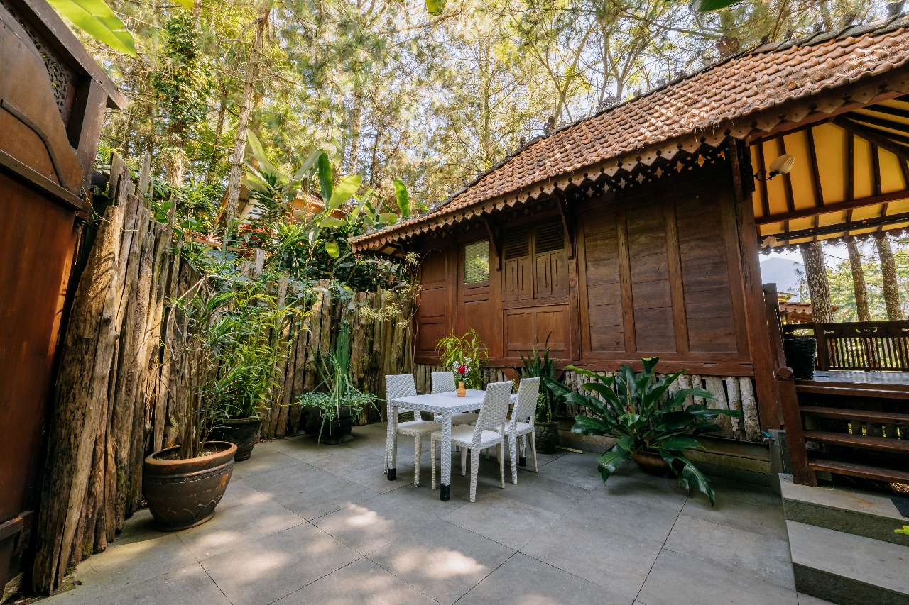 WhatsApp Image 2025-10-16 at 17.33.10_78eaad11